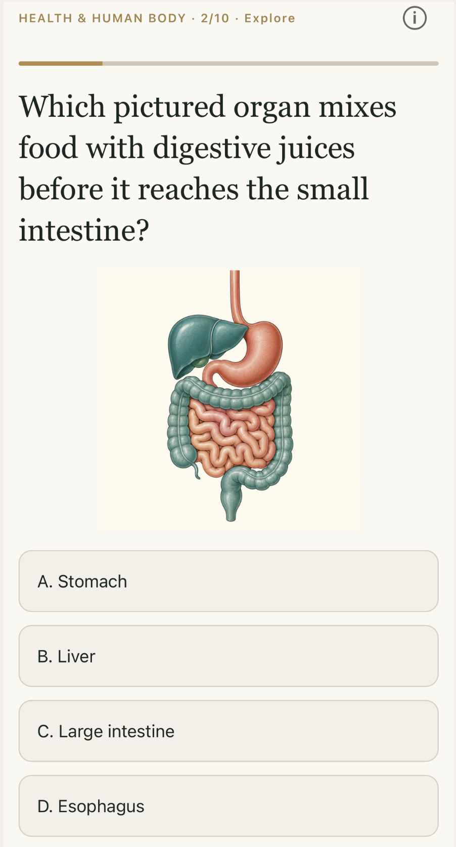 Health question with a digestive system illustration and four organ choices.